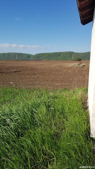 Teren de 2500 mp, în Bănești
