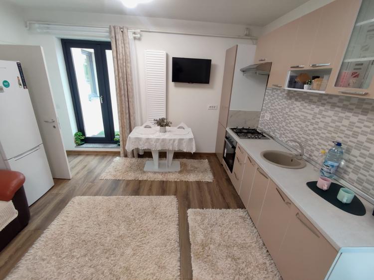 Penthouse cu 2 camere si 2 terase , 550 euro - Nicolina - 5