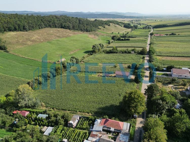 Teren Construcții intravilan de 3500 mp, în Bogdănești (Traian)