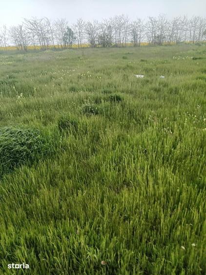 Teren de 1000 mp, în Fundeni
