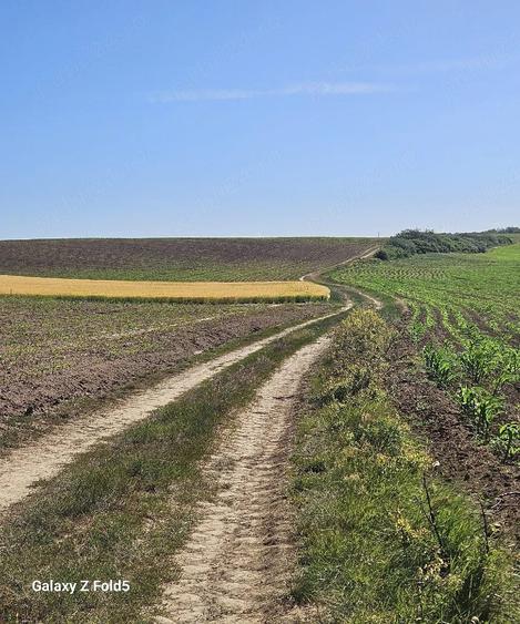 Teren de 9800 mp, în Chișirid