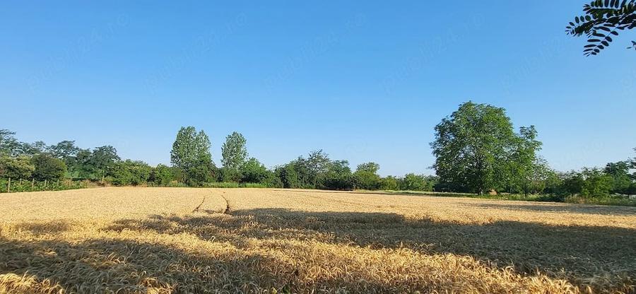 Casă cu Teren 5000 Mp în Cadea