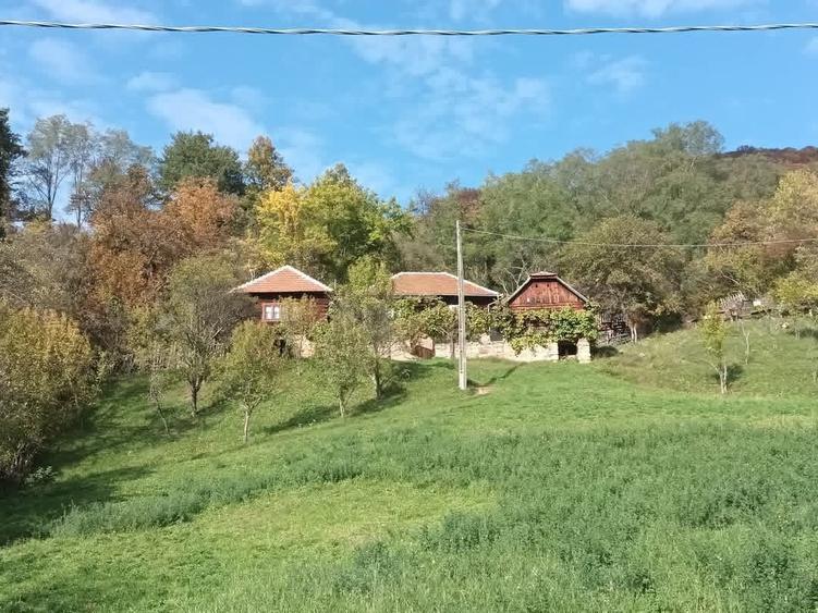 Casă cu 4 camere în Pui