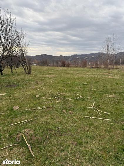 Brebu - teren intravilan 5200mp parcelabil - 25 Euro/mp - 2