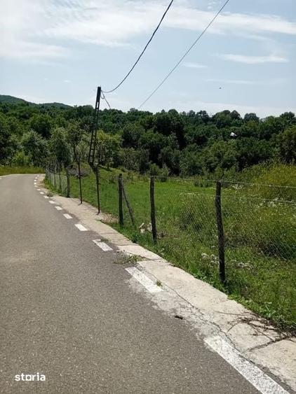 Teren de 1634 mp, în Chiojdu