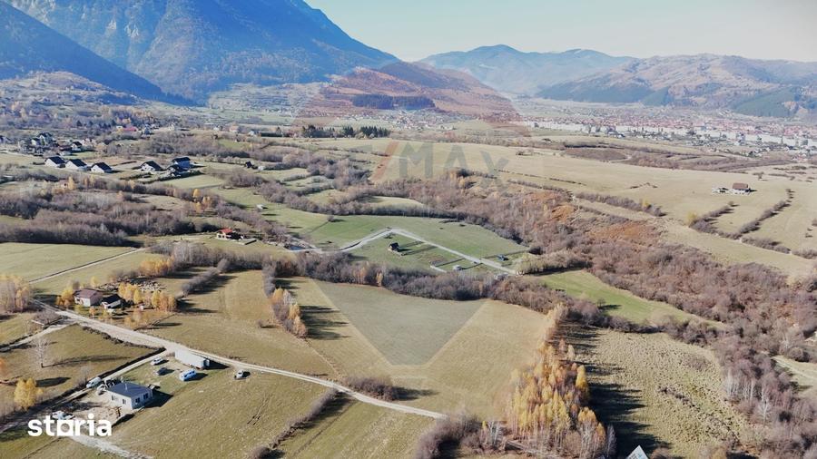 Teren de 12615 mp, în Tohănița