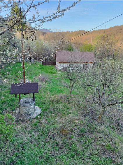 Casă cu 3 camere cu Teren 5200 Mp în Schela