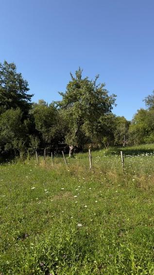 Teren Construcții intravilan de 4653 mp, în Valea Danului