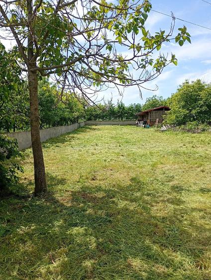 Casă cu 2 camere cu Teren 3500 Mp în Central