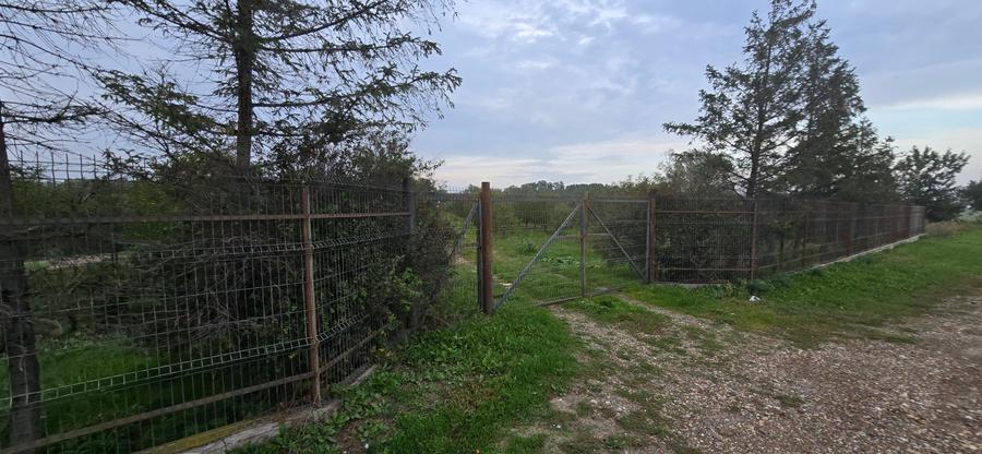 Teren agricol extravilan de 18000 mp, în Boțârlău