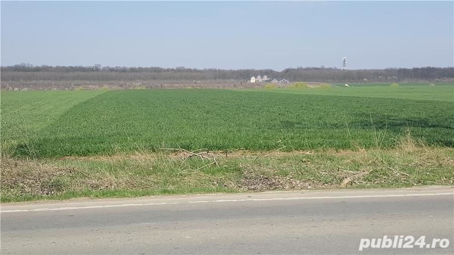 Teren de 16729 mp, în Balotești