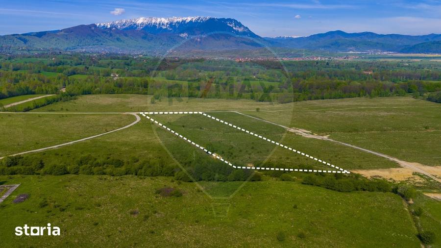 Teren extravilan 13,800mp Rasnov / Traseu Via Transilvanica - 3