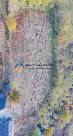 Teren Construcții intravilan de 11766 mp, în Costișa