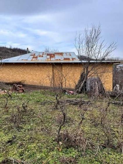 Casă cu 2 camere în Bursuci