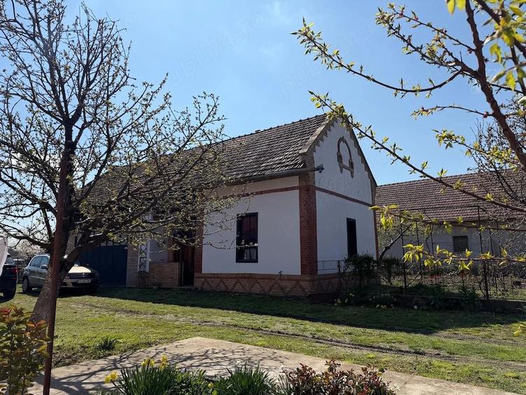 Casă cu 3 camere cu Teren 4000 Mp în Iecea Mare