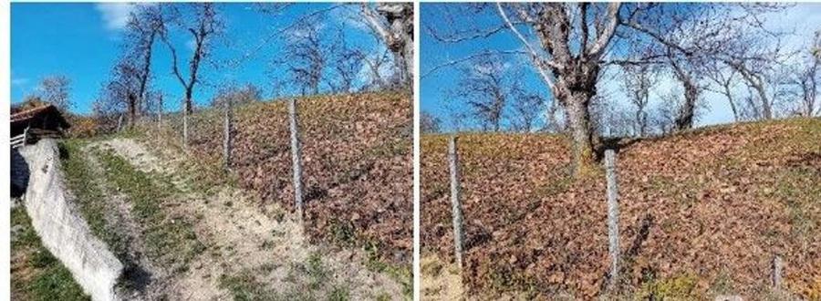 Teren de 2894 mp, în Vistieru