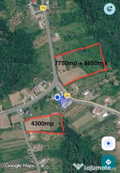 Teren de 16600 mp, în Cocu