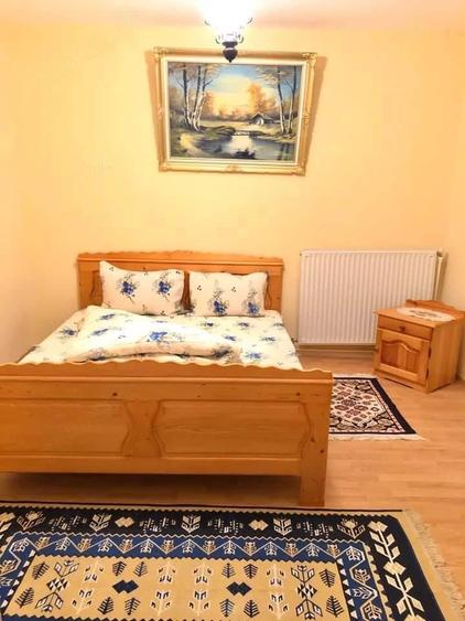 Casă cu 9 camere cu Teren 8233 Mp în Mărgău