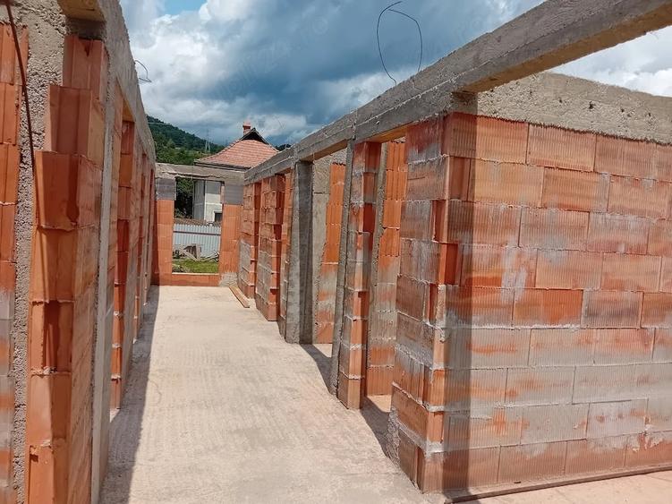 Casă cu Teren 1450 Mp în Viișoara