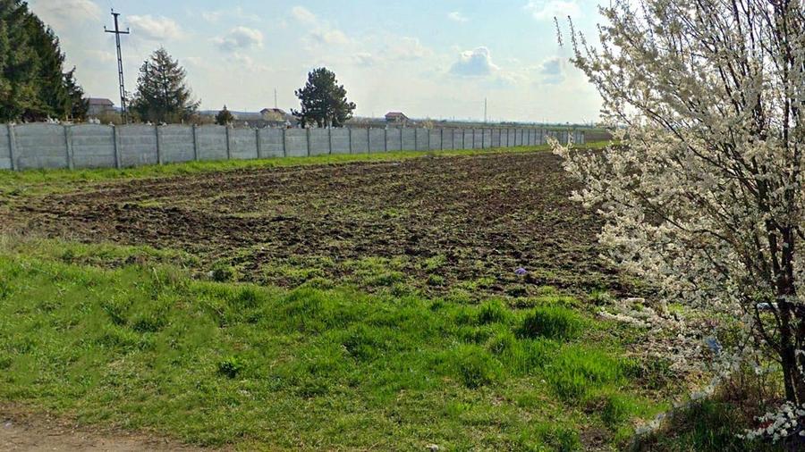 Teren Construcții intravilan de 6000 mp, în Săbăreni
