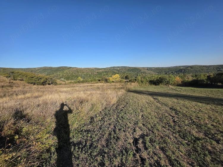 Teren de 9700 mp, în Dănulești