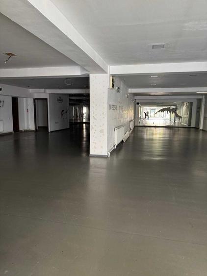 Spațiu comercial, de 450 mp, în Plopilor