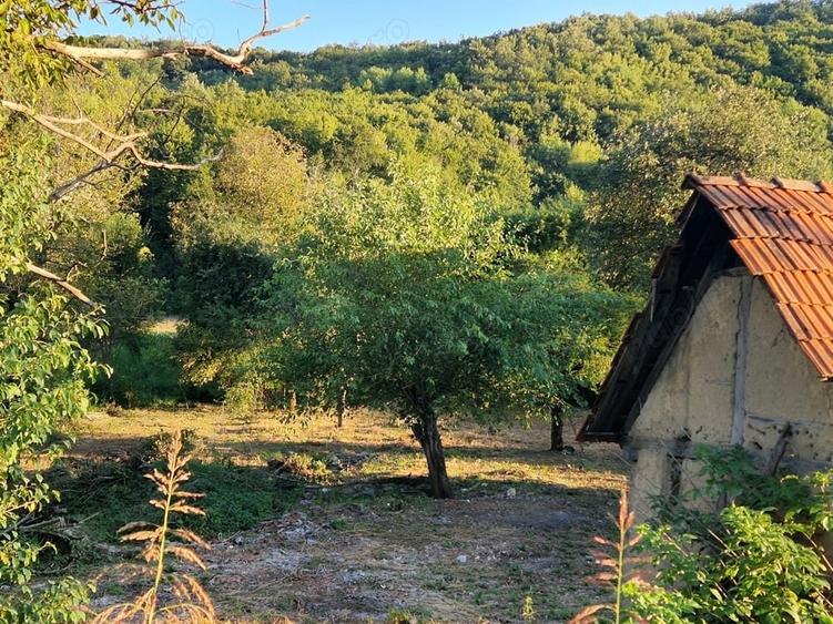 Casă cu 3 camere în Căpruța
