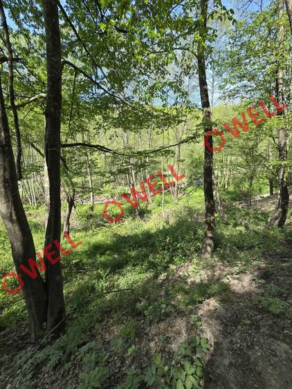 Teren extravilan de 5600 mp, în Filia