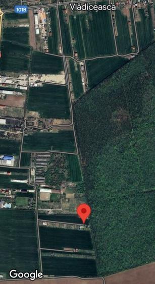 Teren Construcții intravilan de 647 mp, în Snagov