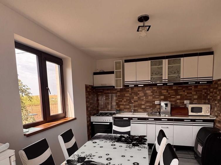 Casă cu 4 camere în Radu Vodă