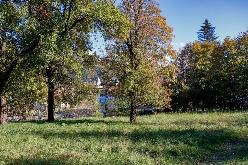 Teren Construcții intravilan de 8200 mp, în Bușteni