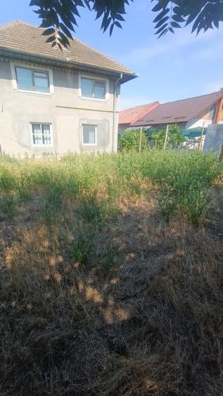 Casa P+1, 250 mp utili, 500 mp teren, zona Brestei - 12
