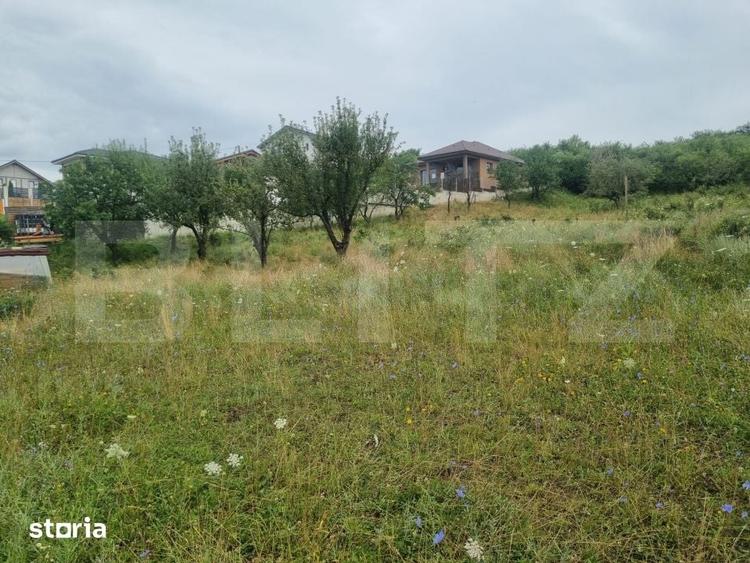 Teren 700 mp cu priveliste spre oras, disponibil si parcelat, Bistrita - 5