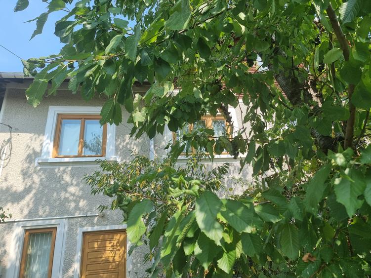 Casă individuală cu 3 camere cu Canalizare în Viforâta