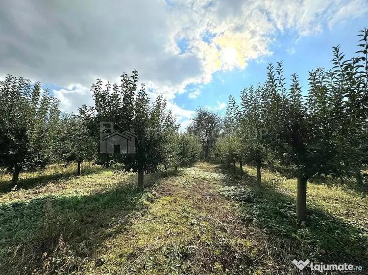 Teren de 2902 mp, în Dămienești
