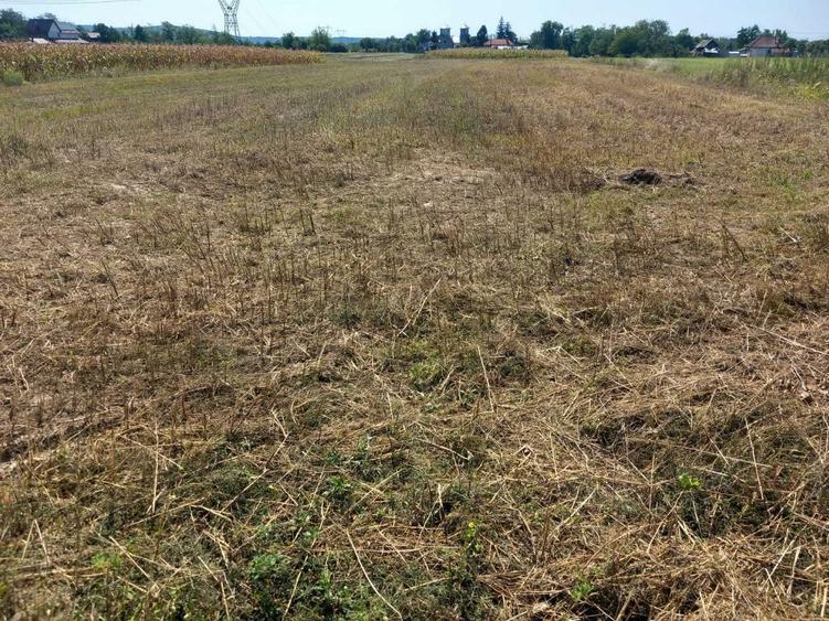 Teren de 5013 mp, în Bratia din Deal