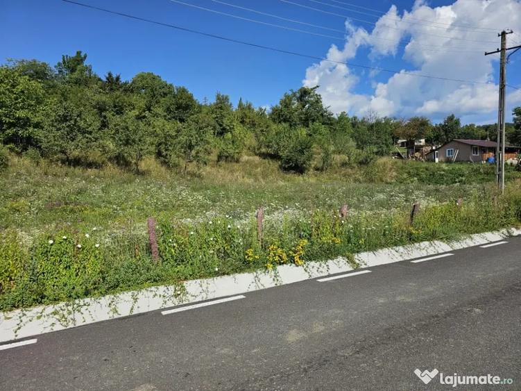 Casă cu 7 camere în Mărunțișu