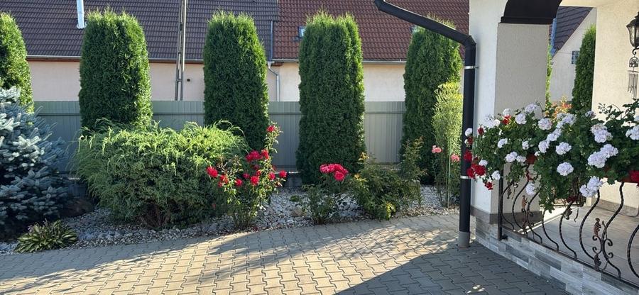 Casă cu 5 camere cu Teren 1500 Mp în Central