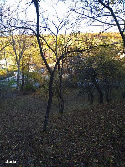 Teren de 3788 mp, în Central