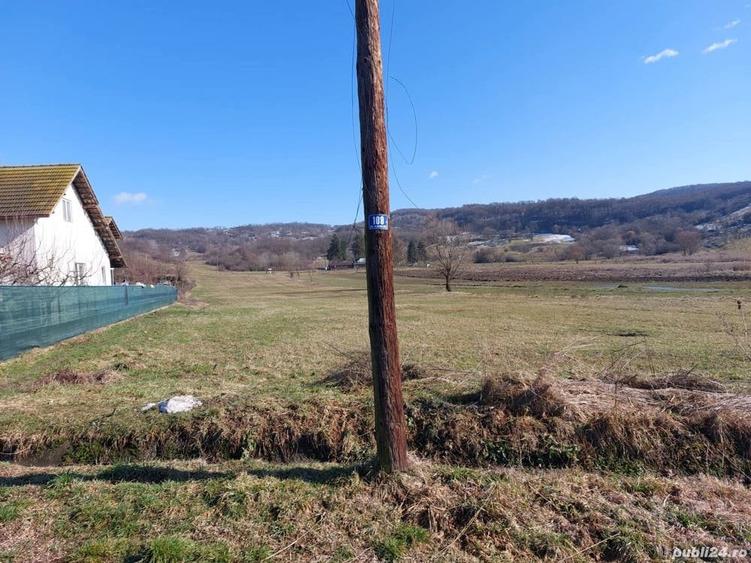Teren de 10000 mp, în Central
