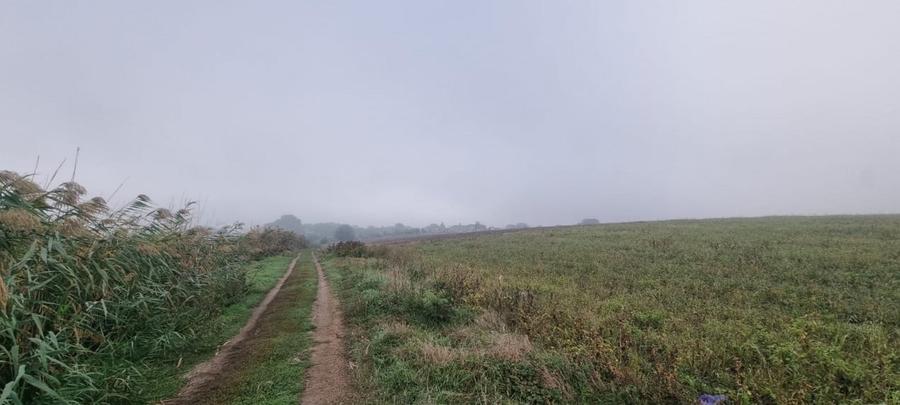 Teren Construcții intravilan de 7567 mp, în Dascălu