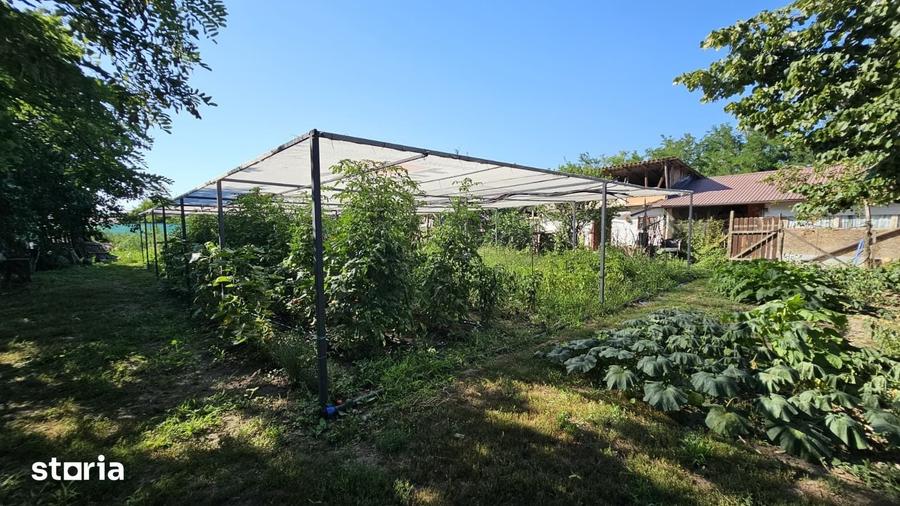 Casă cu 4 camere cu Teren 1912 Mp în Munteni-Buzău
