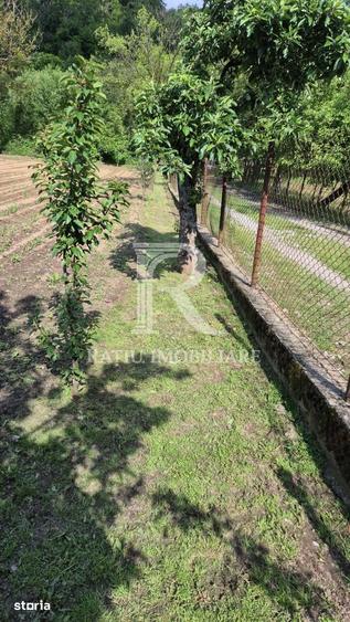 Casă cu 6 camere cu Teren 2300 Mp în Pomezeu