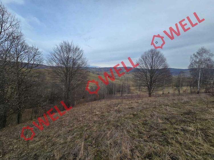 Teren extravilan de 5800 mp, în Sărămaș