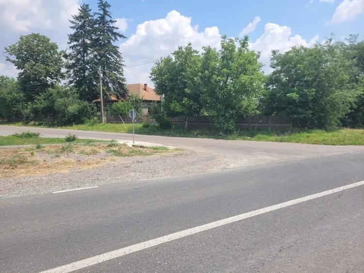 Teren de 1900 mp, în Curcani