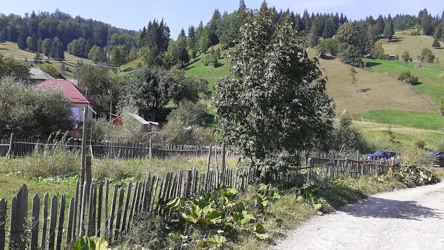Teren de 716 mp, în Poiana Teiului