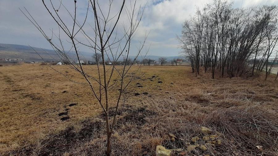 Teren agricol extravilan de 3684 mp, în Iris