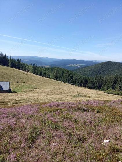 Teren de 50000 mp, în Argel