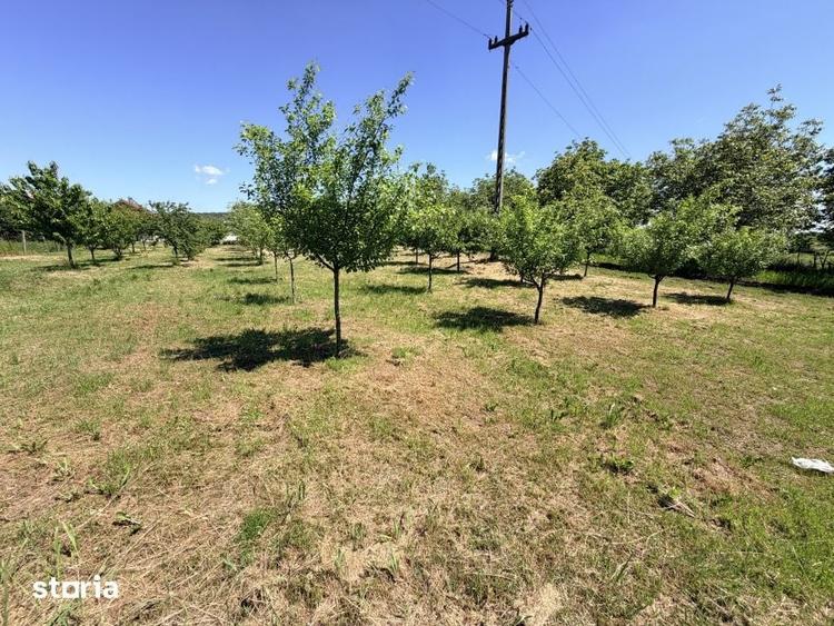 Casă cu 6 camere cu Teren 3000 Mp în Cârcea