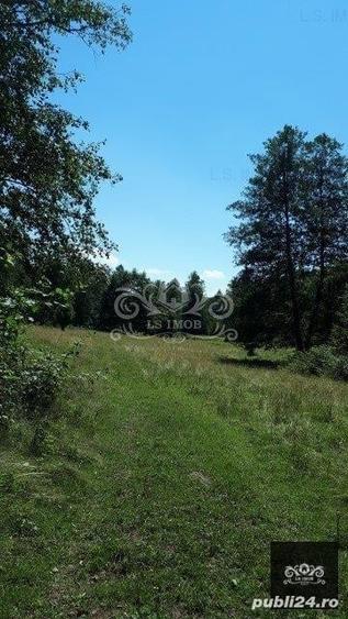 Teren în Albești